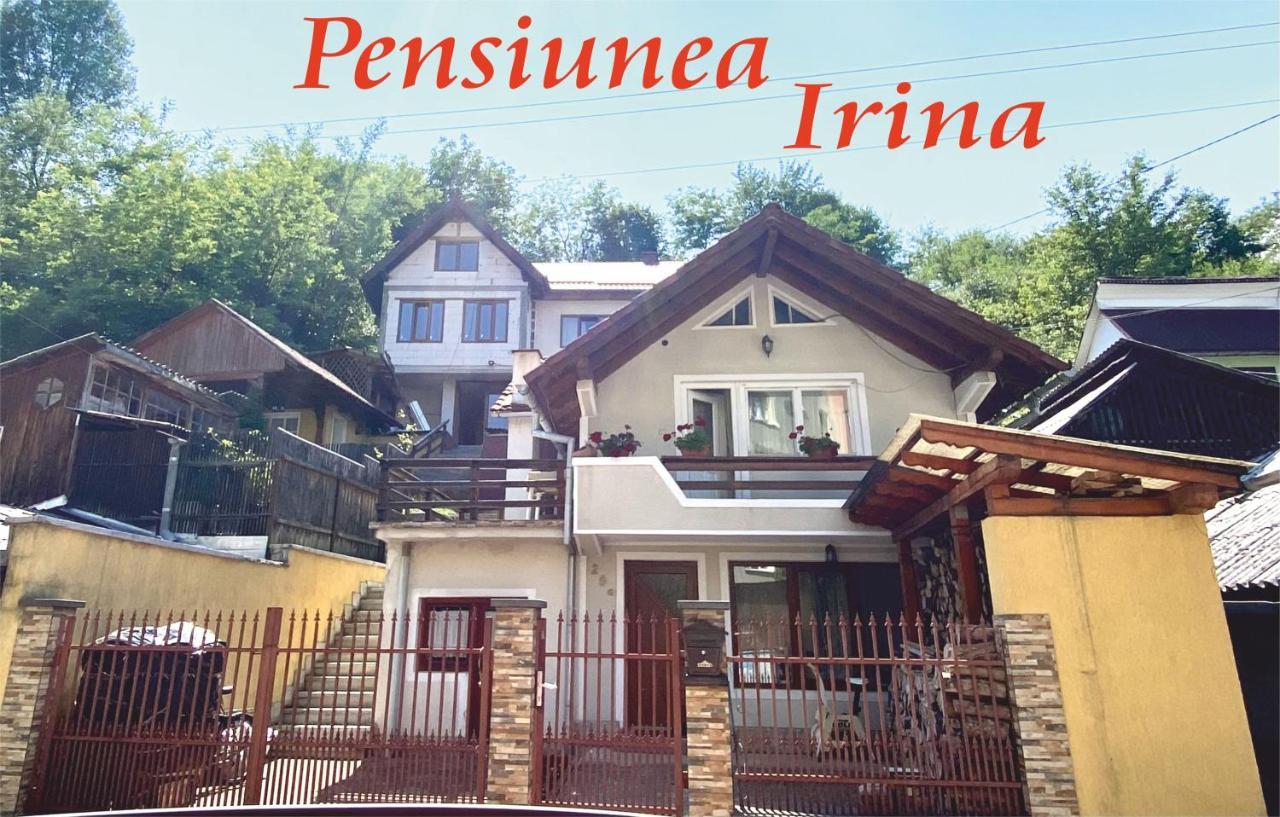 Pensiunea Irina Singeorz-Bai Exterior photo